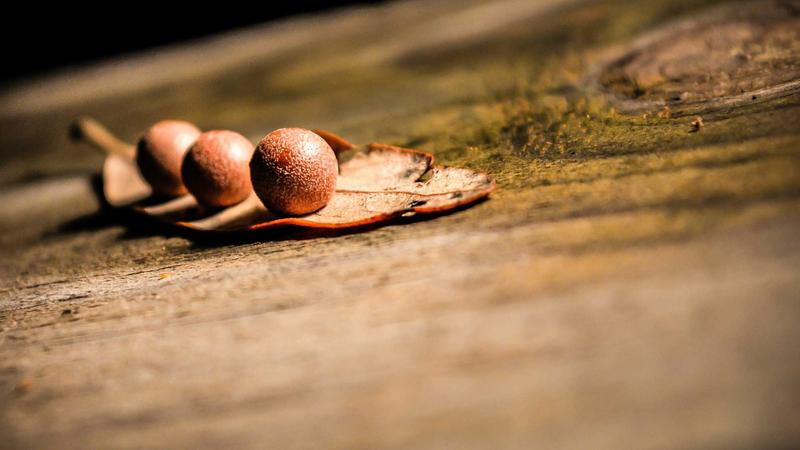 Instagram Reels Algorithm 2026: What Actually Works for Growth